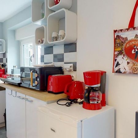 Studio Avec Parking Rue De La Semm Colmar Zewnętrze zdjęcie