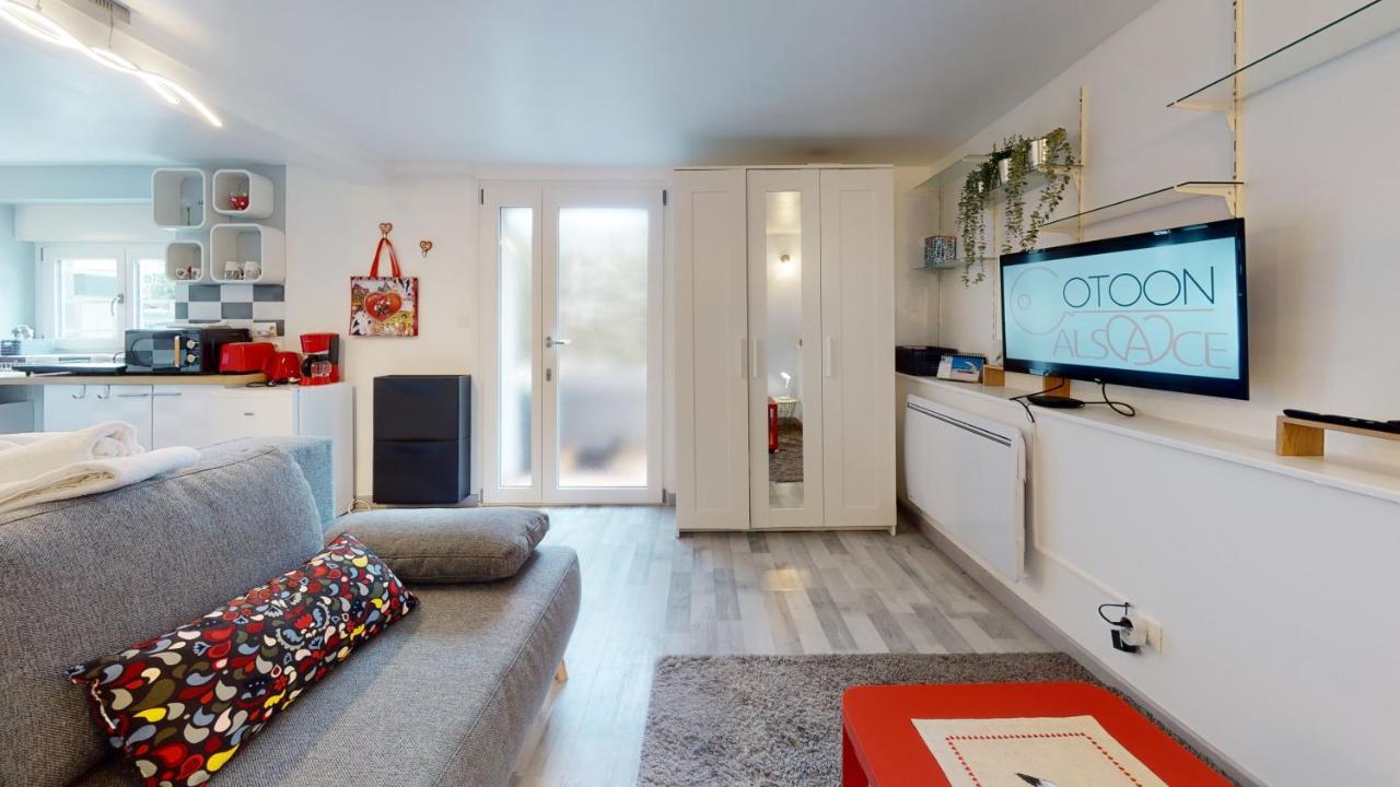 Studio Avec Parking Rue De La Semm Colmar Zewnętrze zdjęcie