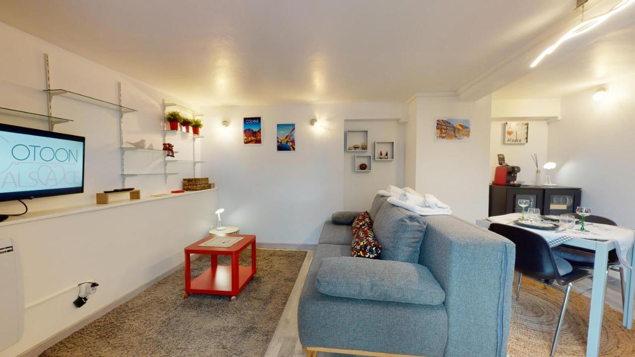 Studio Avec Parking Rue De La Semm Colmar Zewnętrze zdjęcie